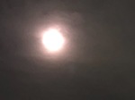 E37AA47D-835D-45C8-B07B-0E6D0B2B9CAA.jpeg